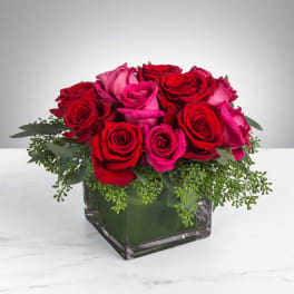 Short arrangement of red and hot pink roses in a clear glass cube vase