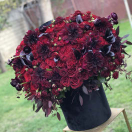The Black Magic rose box