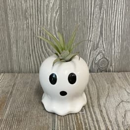 Air plant in a white ghost-shaped ceramic planter