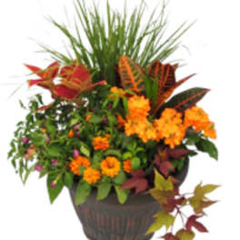 Fall Porch Planter