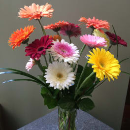 Mixed gerbera daisies in a clear glass vase