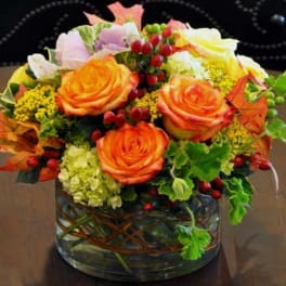 Beautiful Autumn Blooms