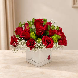 Red roses arranged in a white square box with baby's breath