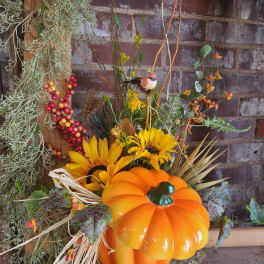Eckert Florist's Permanent Botanical Orange Pumpkin