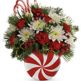 Teleflora's Candy-Striped Christmas Bouquet