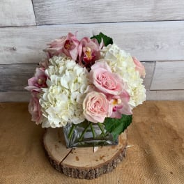 Pink and White Delight