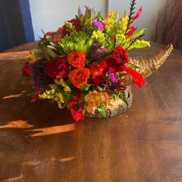 cornucopia a bounty
