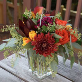 Fall Mix