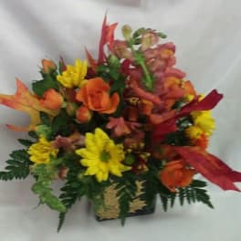 Fall blooms