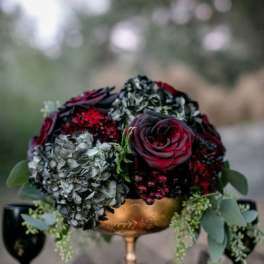 Dark Beauty