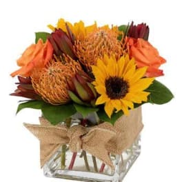 Mod Fall Cube Arrangement