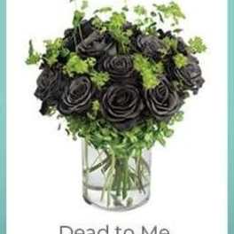 Black roses in a clear vase with green filler