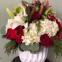 Winter Wonders