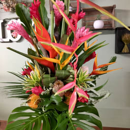 Tropical Journey