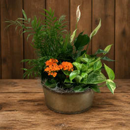 Potted arrangement with orange flowers and white peace lilies
