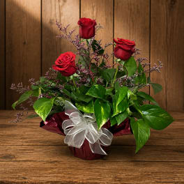 Three red roses in a wrapped arrangement with a white bow