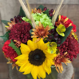 Burst of Fall