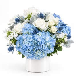 Blue hydrangeas and white roses arranged in a white vase