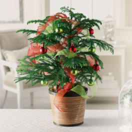 Tabletop Holiday Tree