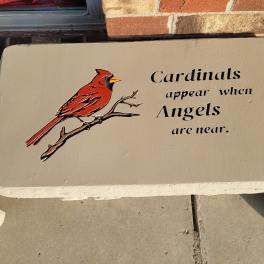 Cardinals Appear Bench