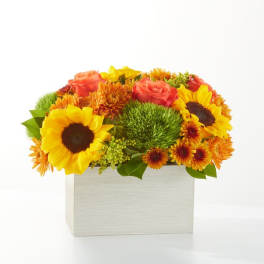 Sunflower and rose arrangement in a white square box