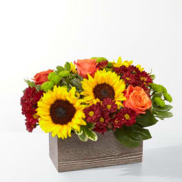 Sunflowers, orange roses, and burgundy mums in a wooden box