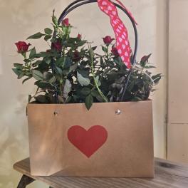 Red rose bouquet in a kraft paper gift bag with a pink heart ribbon