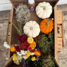Box of dried flowers, moss, pumpkins, and tacky glue