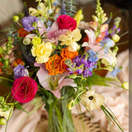 Pollen Party - OUR CHOICE - COLORFUL BRIGHTS
