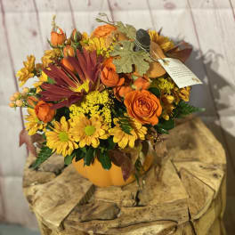 Leo’s Pumpkin Centerpiece