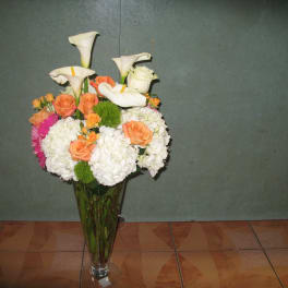 White and Orange #23
