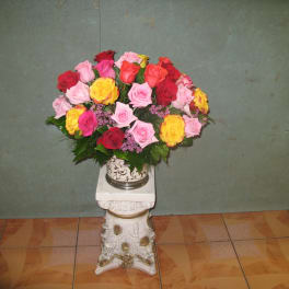 Colorful Roses #30