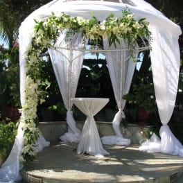 Wedding W3