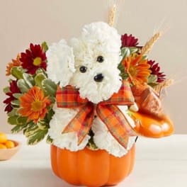 White dog-shaped floral arrangement in an orange pumpkin container with autumn flowers