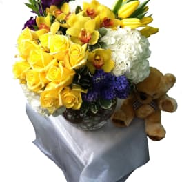 TULIPS #50
