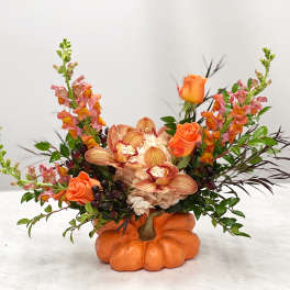 Natures Bounty Pumpkin 