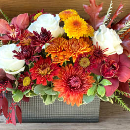 Foot Long Modern Fall Centerpiece w/ Orchids - Colors may vary