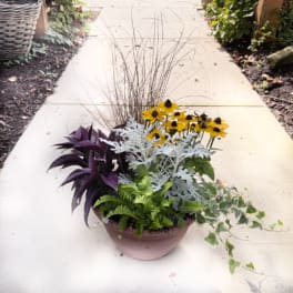 Potted arrangement with yellow daisies and mixed foliage in a bowl planter