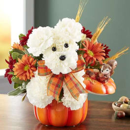 a-DOG-able for Fall
