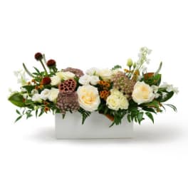 Low arrangement of cream roses with orange accents and seed pods in a white rectangular container