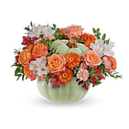 Whimsy Pumpkin