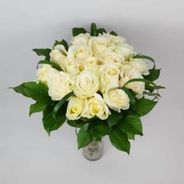 Beauty White