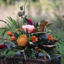 Foraging in the fall