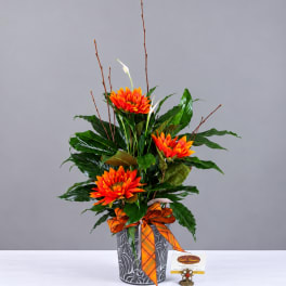 Orange flowers in a patterned vase with a plaid ribbon