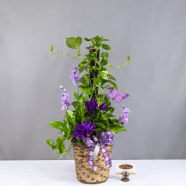 Purple floral arrangement in a woven basket with a plaid ribbon