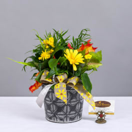 Yellow flowers in a patterned black pot with a decorative ribbon