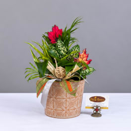 Tropical floral arrangement in a patterned pot with red and green foliage