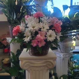 DEAL OF THE DAY BASKET