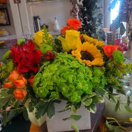 FALL SPLENDOR