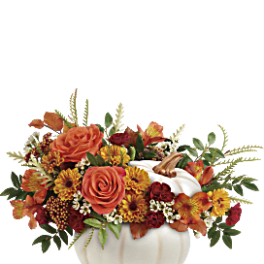 HARVEST ENCHANTED PUMPKIN